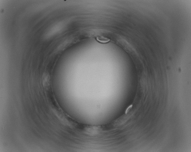 X0000082760079200702092004