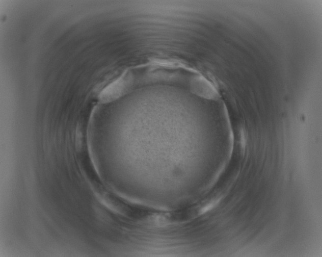 X0000082760080200702092004