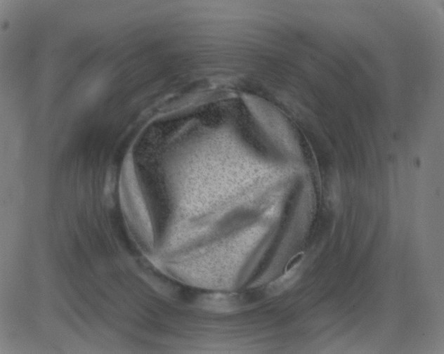 X0000082760082200702092004