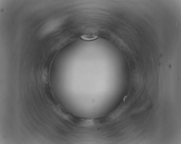 X0000082760083200702092004