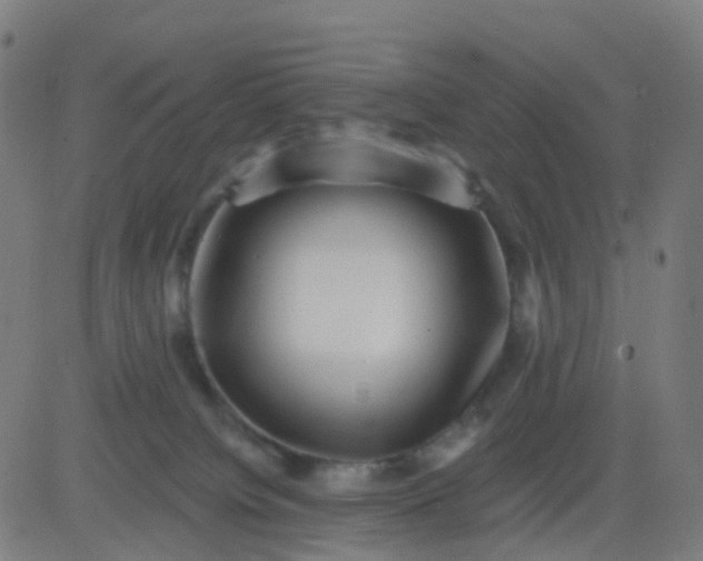 X0000082760084200702092004