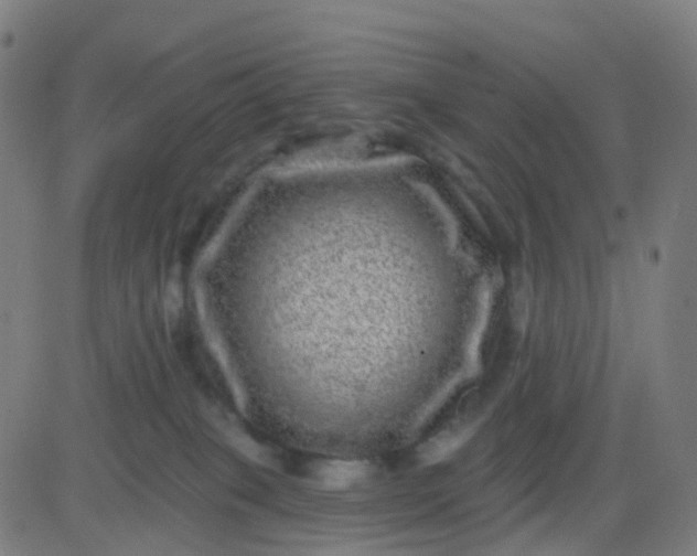 X0000082760085200702092004