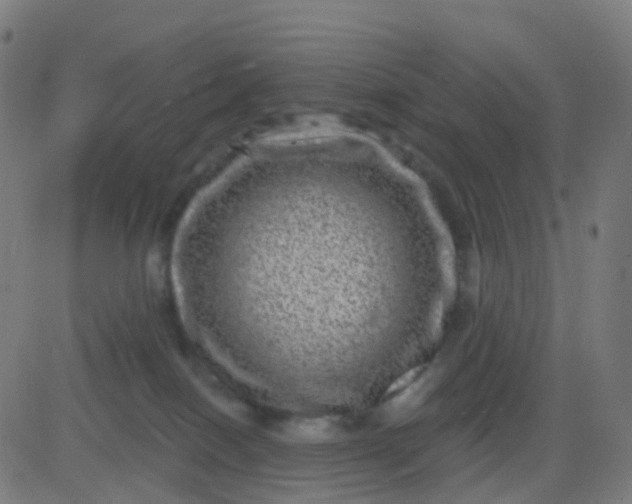 X0000082760086200702092004