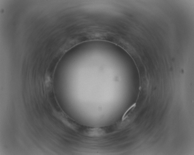 X0000082760087200702092004