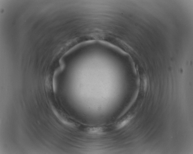 X0000082760088200702092004