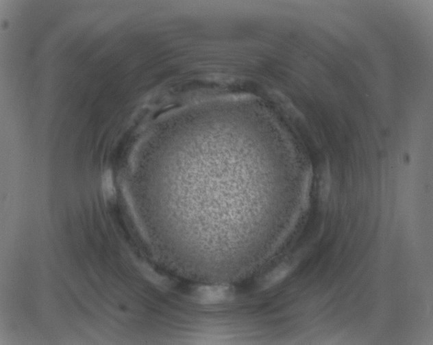 X0000082760089200702092004