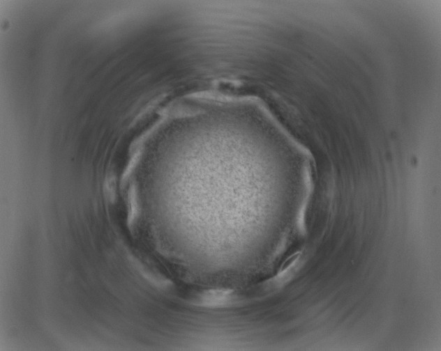 X0000082760090200702092004