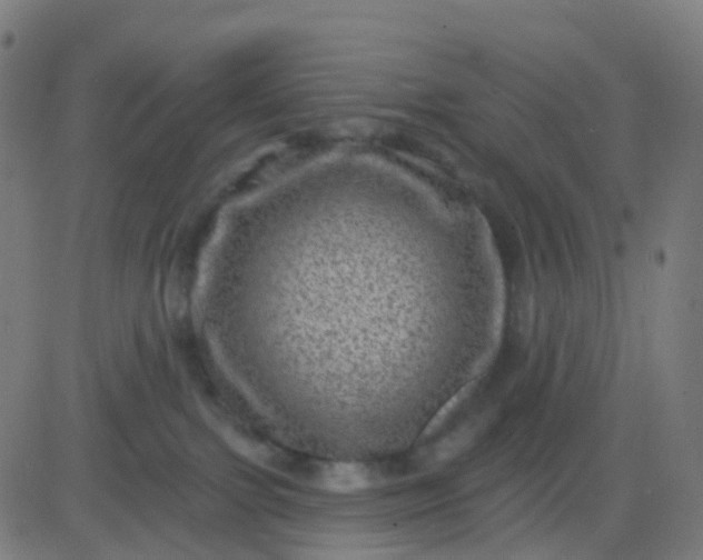 X0000082760091200702092004