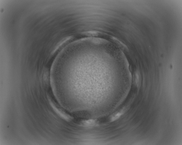 X0000082760092200702092004