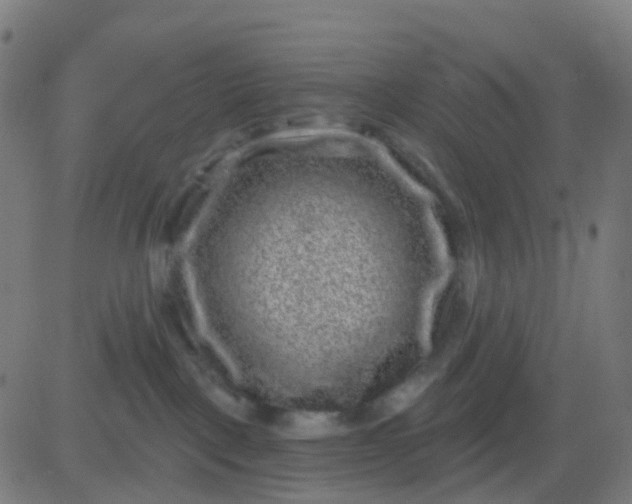 X0000082760093200702092004