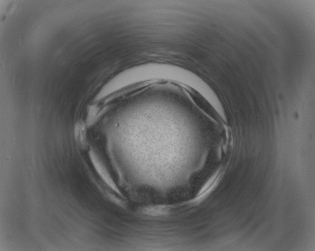 X0000082760094200702092004