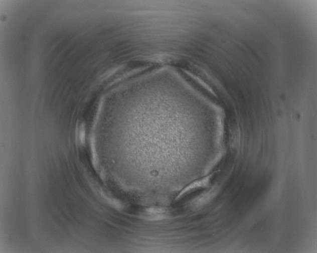 X0000082760095200702092004