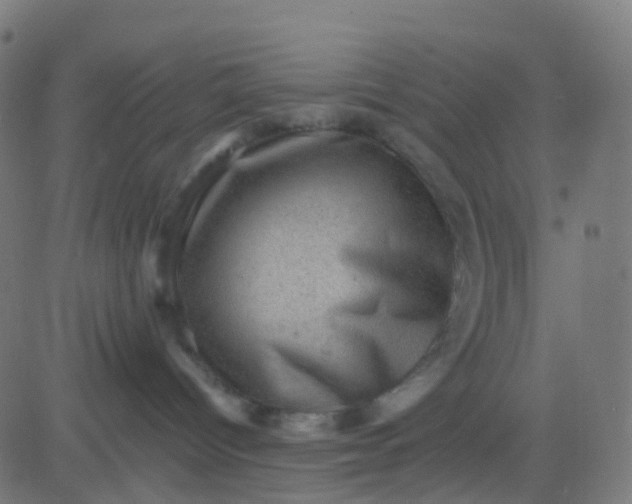 X0000082760096200702092004