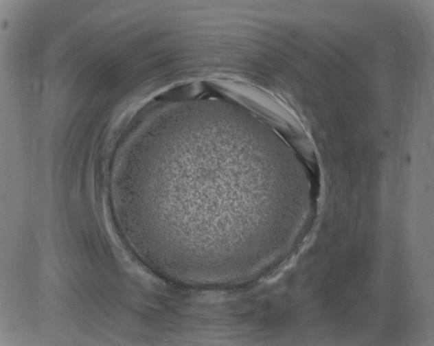 X0000082760097200702092003