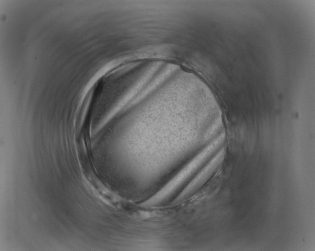 X0000082760100200702092003