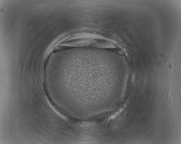 X0000082760101200702092003