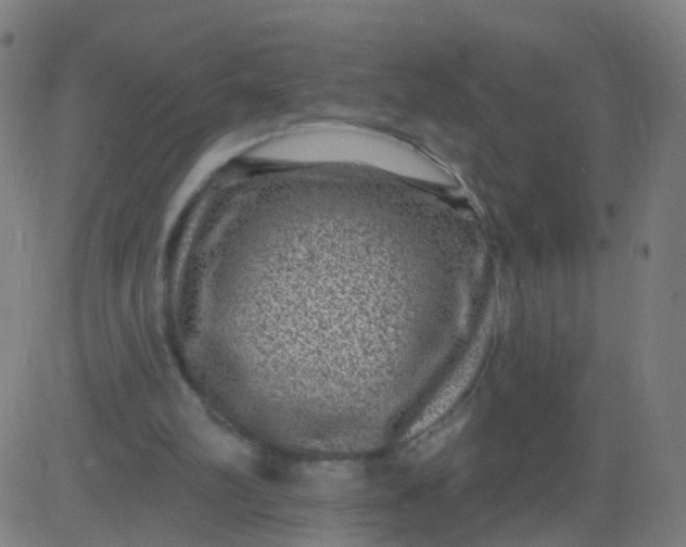 X0000082760102200702092003