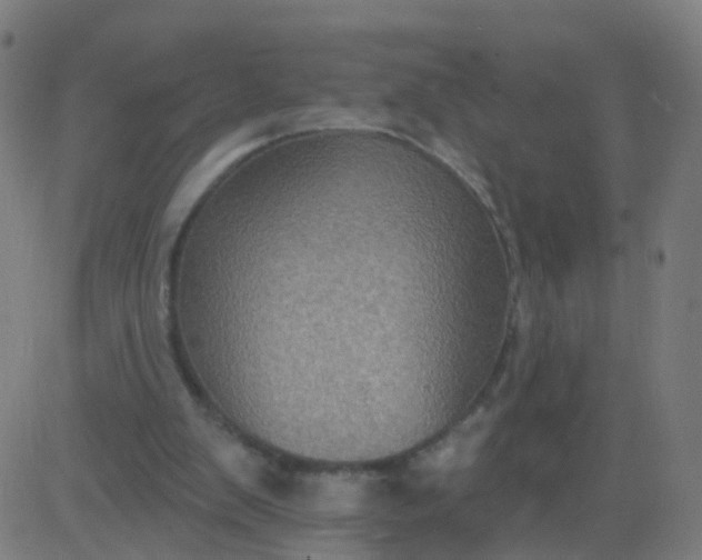 X0000082760103200702092003