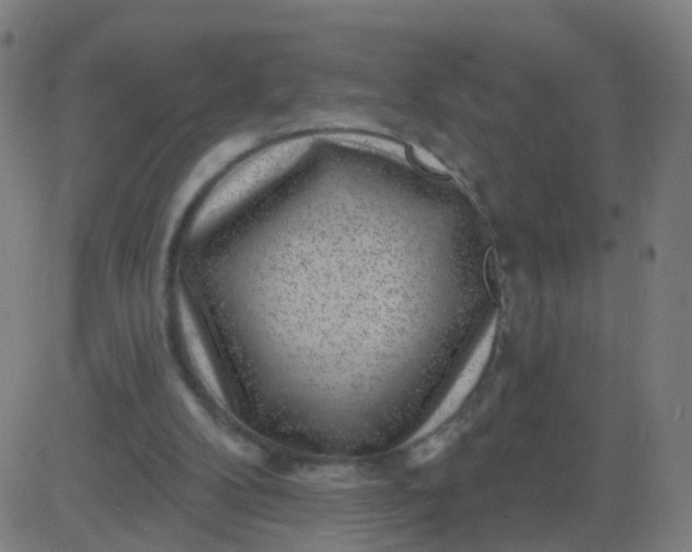 X0000082760104200702092003