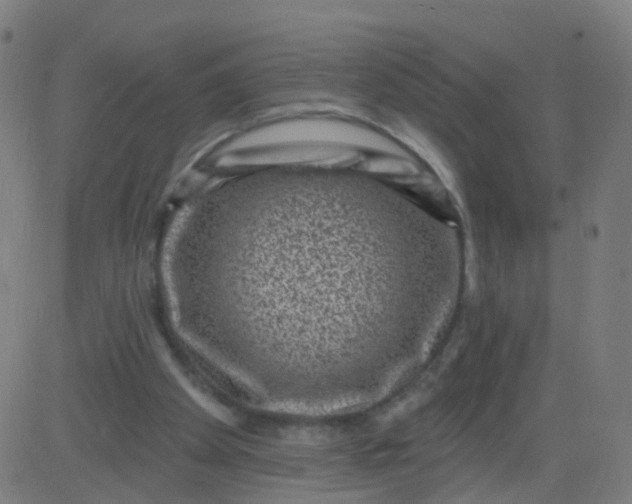 X0000082760105200702092003