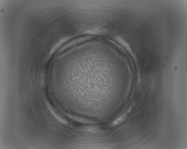 X0000082760106200702092003