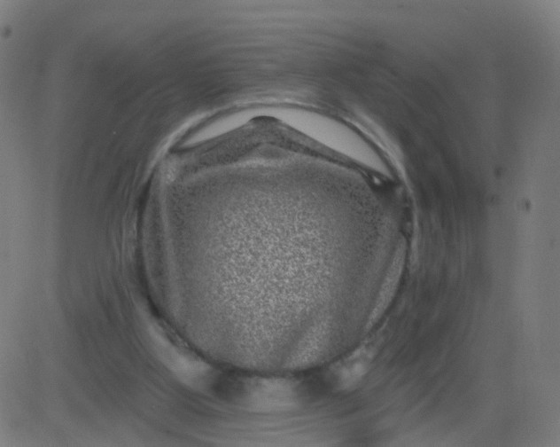 X0000082760107200702092003