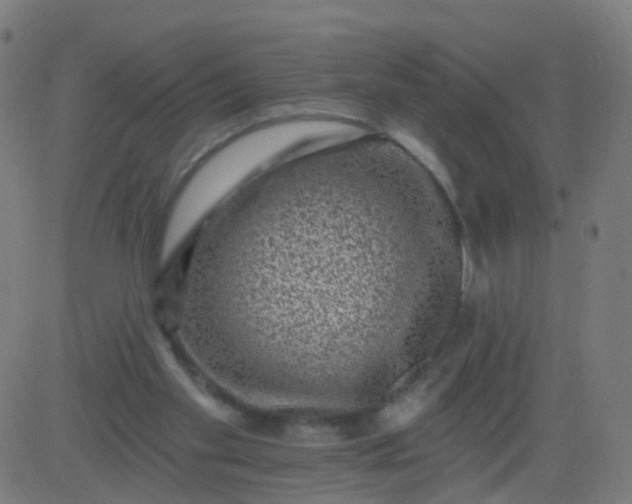 X0000082760109200702092003