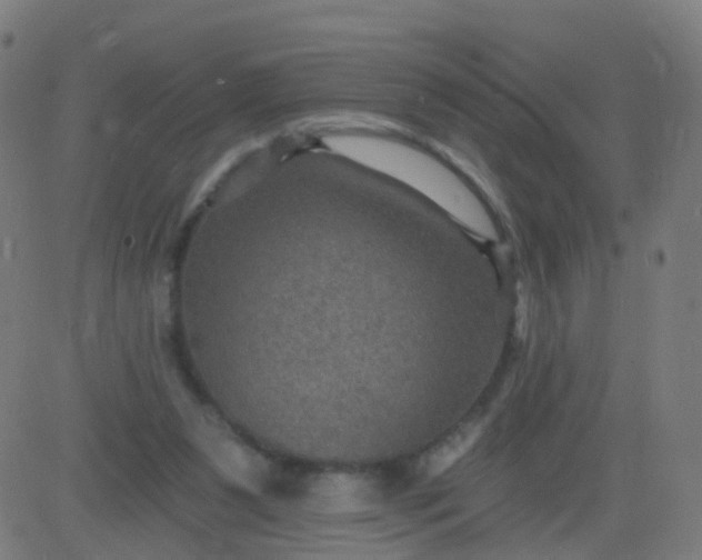 X0000082760111200702092003