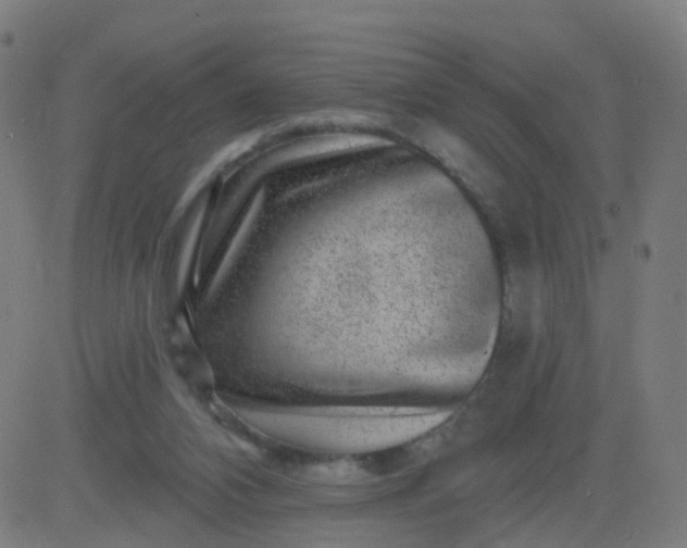 X0000082760112200702092003