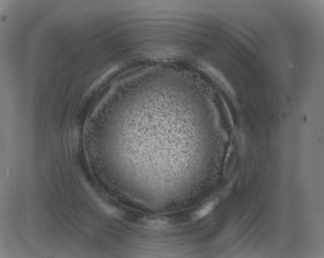 X0000082760113200702092003