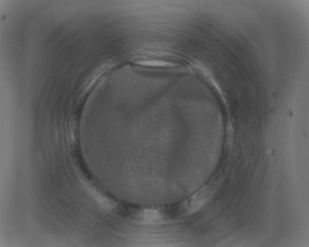 X0000082760114200702092003