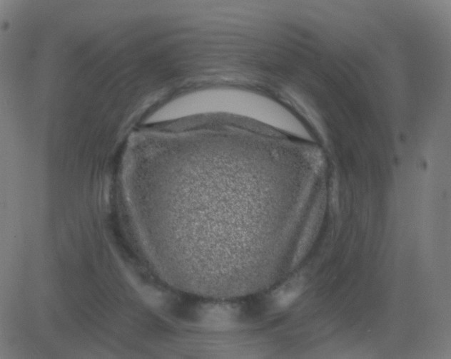 X0000082760115200702092003