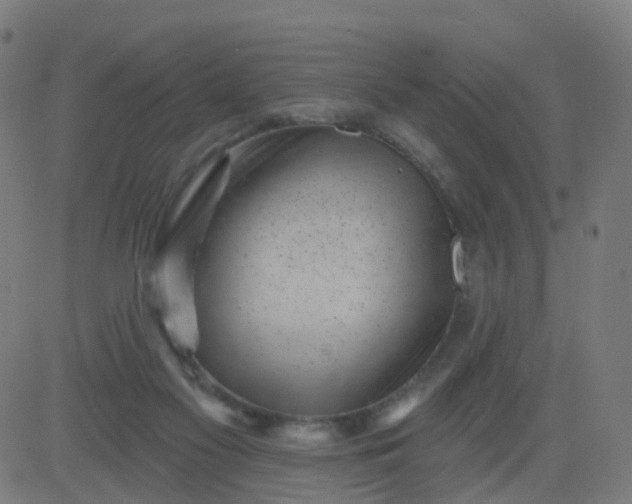 X0000082760117200702092003