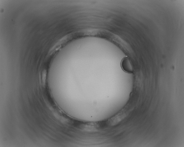 X0000082760118200702092003