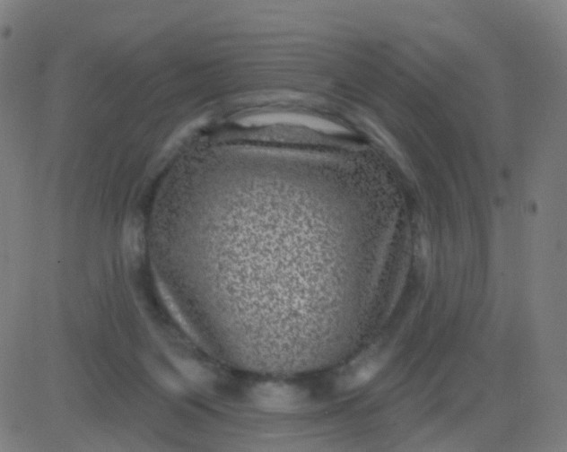 X0000082760119200702092003