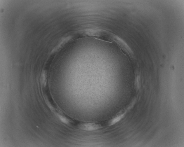 X0000082760121200702092003