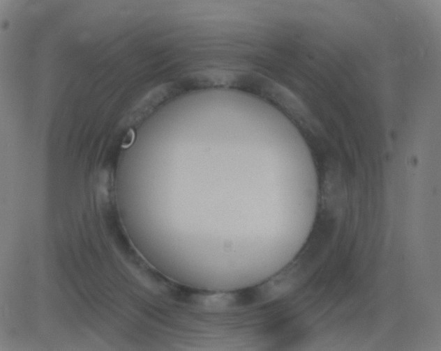 X0000082760122200702092003