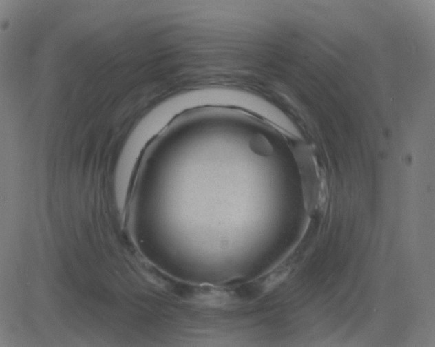 X0000082760125200702092003