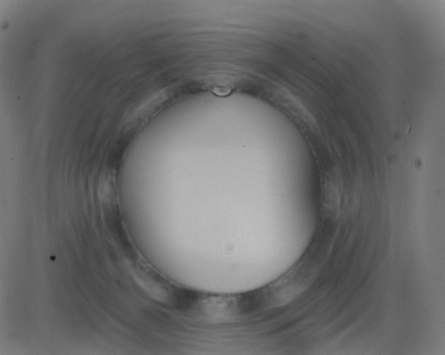 X0000082760126200702092003