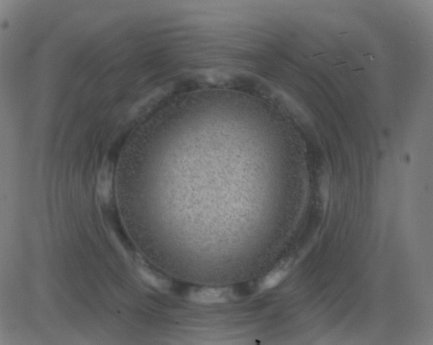 X0000082760129200702092003