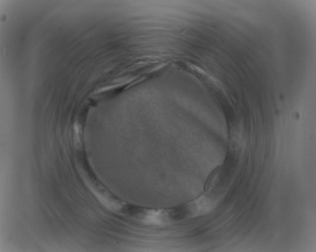 X0000082760130200702092003