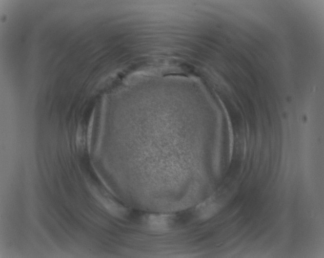 X0000082760134200702092003