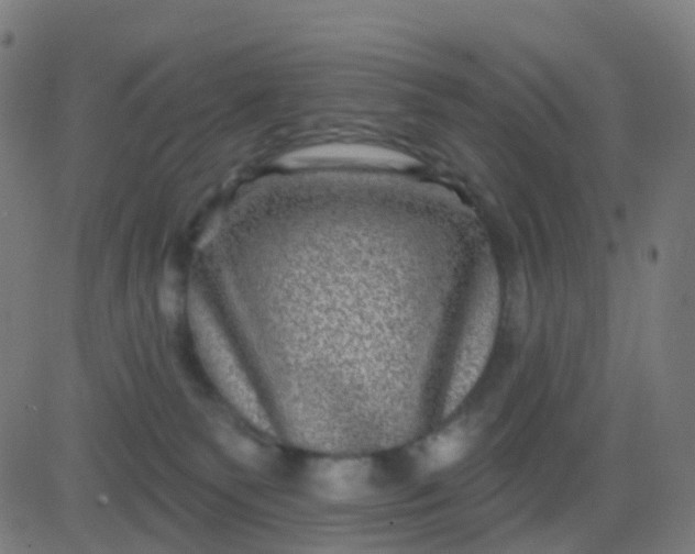 X0000082760135200702092003