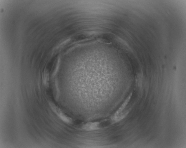 X0000082760138200702092003