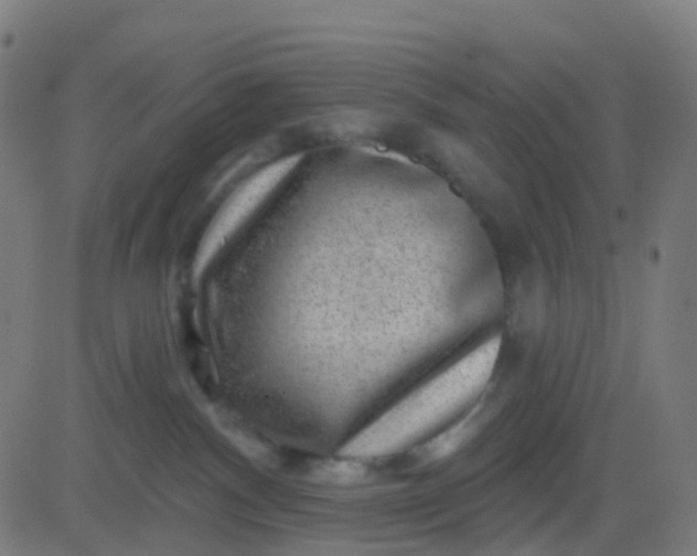 X0000082760140200702092003