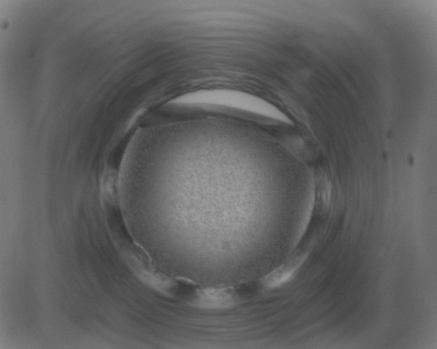 X0000082760141200702092003