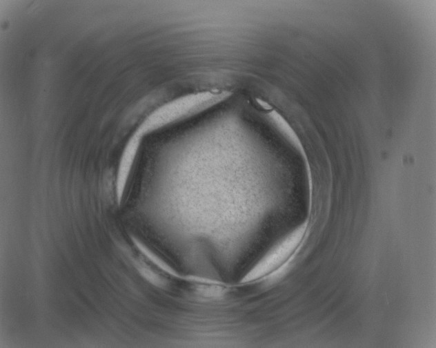 X0000082760144200702092003