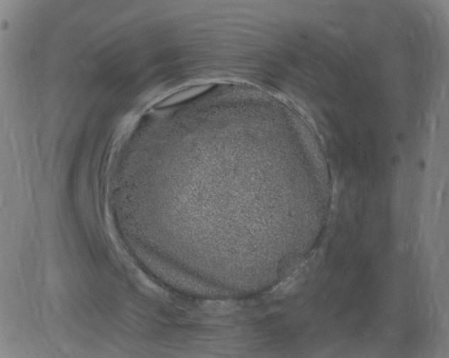 X0000082760145200702092002