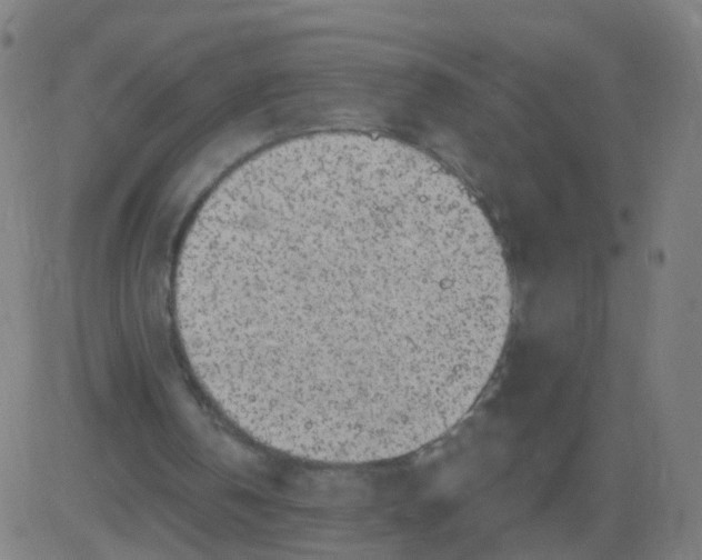 X0000082760146200702092002