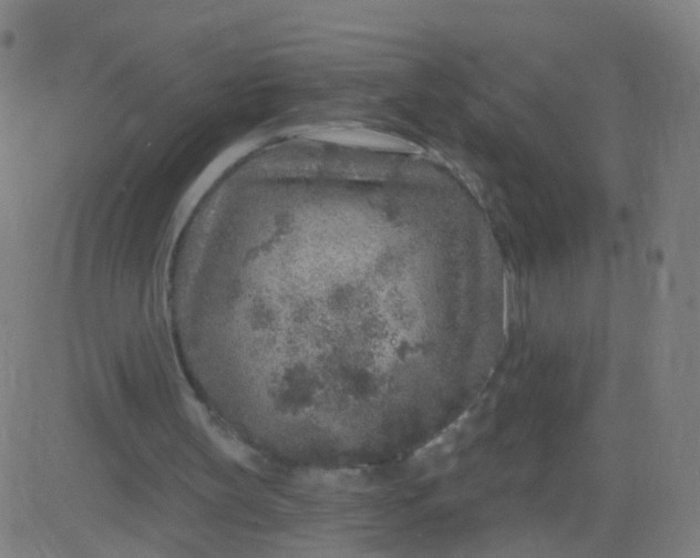 X0000082760147200702092002